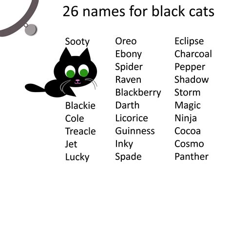 good female cat names for black cats